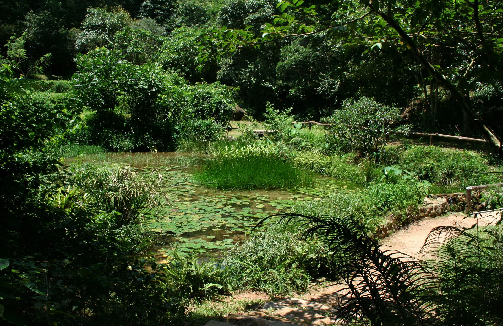 路線包括烏蛟騰，荔枝窩，八仙嶺，沙螺洞，大埔滘自然護理區，橫七古道。